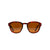 I-SEA Barton Sunglasses - Tort/Brown Polarized - Pretend Supply Co.