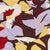 Obey Maxwell Woven Shirt - Chocolate Multi - Pretend Supply Co.