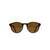 A. Kjærbede Marvin Sunglasses - Demi Tortoise - Pretend Supply Co.