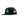 Santa Cruz Classic Hand Mesh Trucker Cap - Black