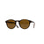 A. Kjærbede Marvin Sunglasses - Demi Tortoise - Pretend Supply Co.