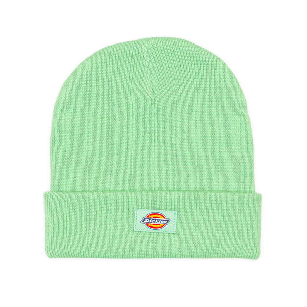 Dickies Gibsland Beanie - Apple Mint - Pretend Supply Co.