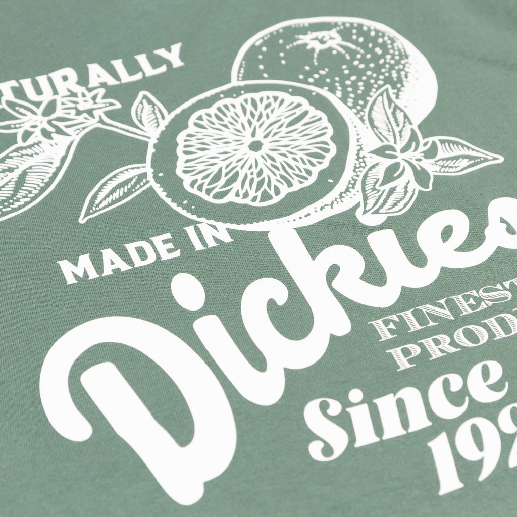 Dickies Raven T-Shirt - Dark Forest - Pretend Supply Co.